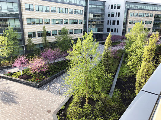 Studio 2112 Landscape Architecture | www.studio2112la.com | Bexley Park | Cambridge, MA | Credit:  Daniel Newcomb