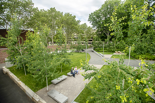 Studio 2112 Landscape Architecture | www.studio2112la.com | Wyman St | Waltham, MA | Credit:  Jay Ericson