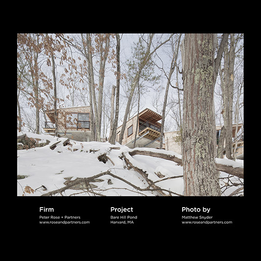 Peter Rose + Partners